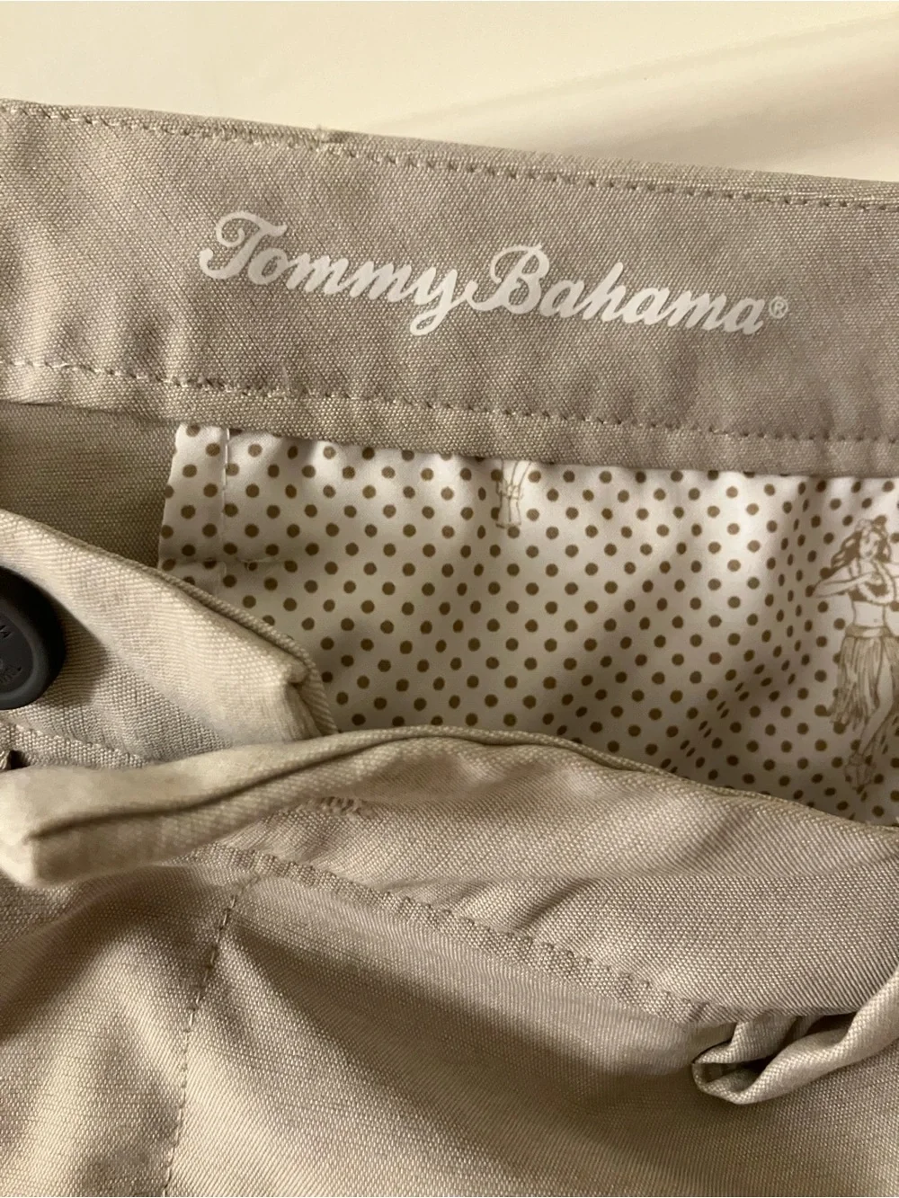 Tommy Bahama Men's flat front pants